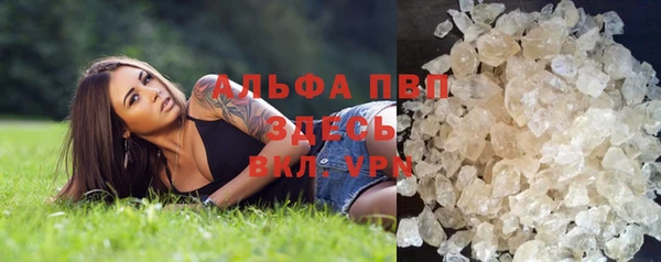 дурь Аркадак